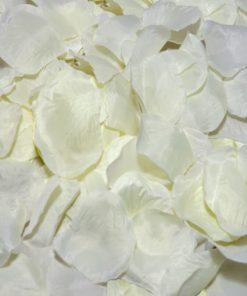 DIABLO PICANTE - 100 VANILLA PETALS