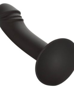 CALEXOTICS - CURVED ANAL STUD