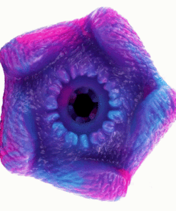 EPIC - THETIS CYCLOPS MALE MASTURBATOR